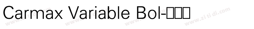 Carmax Variable Bol字体转换